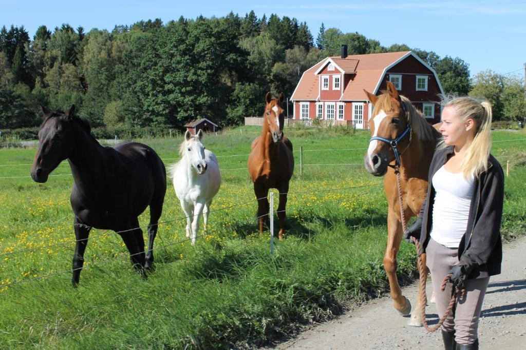 Rocklösa Gård Hotell Ollosa Exteriör bild